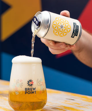 Beer 2 Image