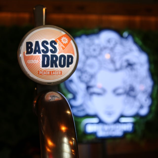 Bass Drop Launch Party
